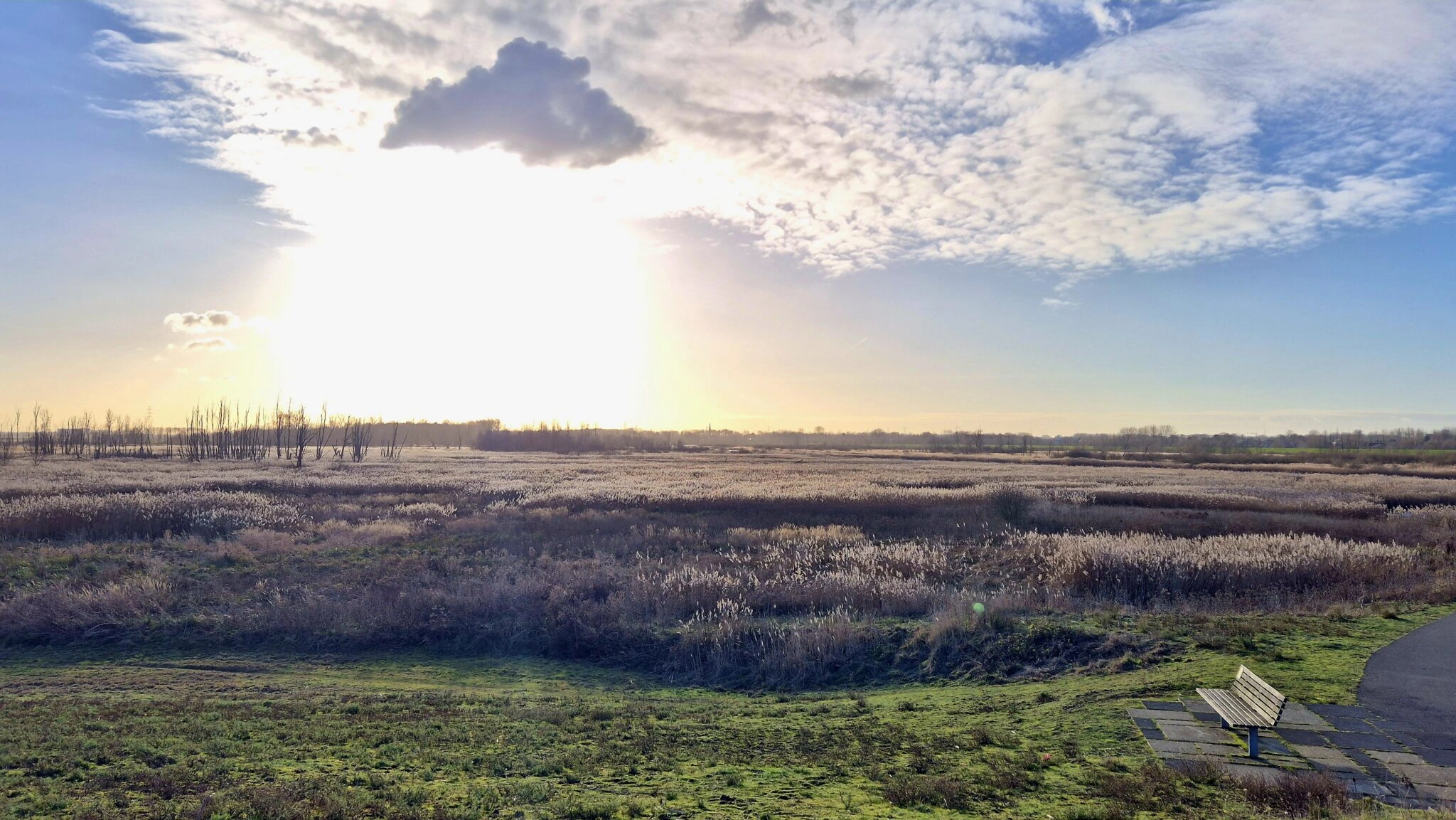 Brief aan Koen. Over rouwarbeid in organisaties