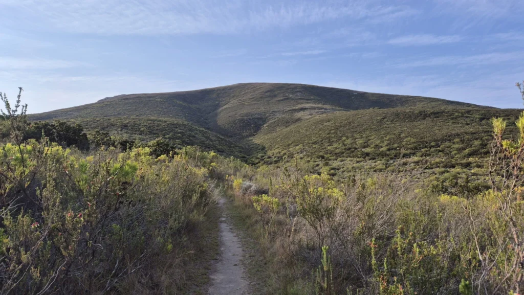Brief aan Jesse. Leiderschap voorbij de berg van de krijgers.
